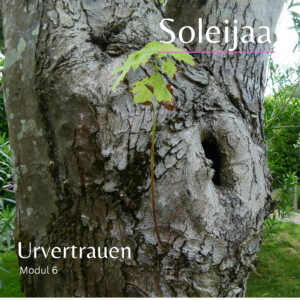 Cover Urvertrauen Modul 6