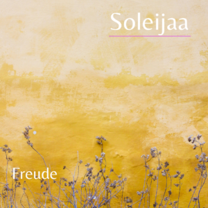 Cover Freude Modul 10 DigiStore 1,8 MB