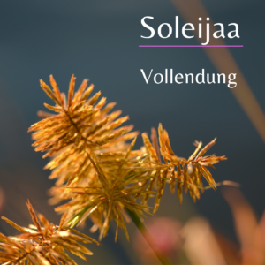 Vollendung - Modul 13
